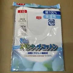 Item thumbnail for item e0f34f2b-ea6b-4fe7-81f4-3fceb0f0544a