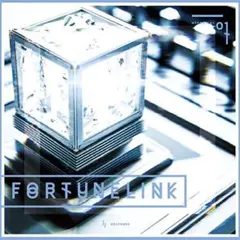 FORTUNE LINK 01 ビートマニア CD