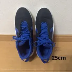 NIKE バスケットシューズ 25cm