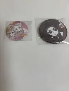 鬼滅の刃 胡蝶しのぶ 栗花落カナヲ 原画展 プチ缶バッチコレクション