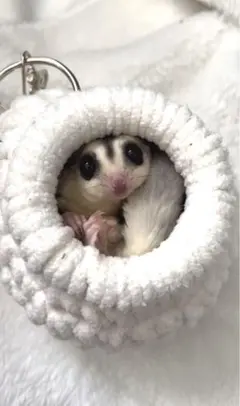 Item thumbnail for item 4838cf7a-c80d-4587-ba23-0c77b2e2c0bd