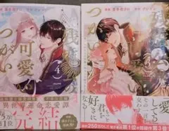 残虐公の可愛いつがい 愛したがりな旦那様に初めてを捧げます3〜4