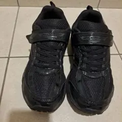 Item thumbnail for item 46297c1d-3e8f-4507-bec6-2cadcb38b357