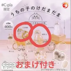 うちの子のけだまだま　茶トラ　三毛猫
