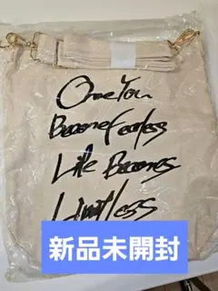 ビッケブランカ　アメリカツアーTシャツ ビッケブランカ アメリカツアーTシャツ ビッケブランカ