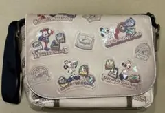 ディズニーリゾート　35周年　カメラバッグ
