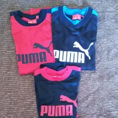 プーマ　長袖、半袖シャツ