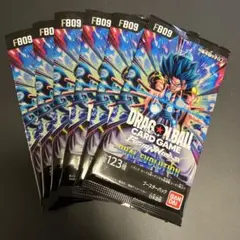 DUAL EVOLUTION FB09 未開封パック 6パック
