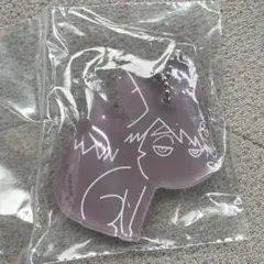 一番くじ ハイキュー 最強の挑戦者 G賞 アクリルチャーム