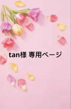 tan様 リクエスト 2点 まとめ商品