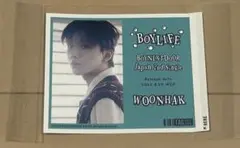 さっちー様 リクエスト 2点 まとめ商品