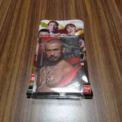 RIZIN ウエハース25 No.10 扇久保博正