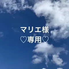 マリエ様 リクエスト 2点 まとめ商品