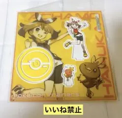 ポケモン　ポケットモンスター　ハルカ　アクリルスタンド