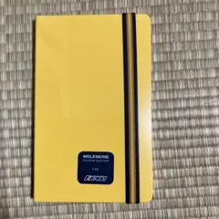 MOLESKINE