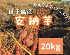 ユッキー様専用