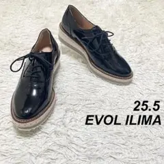 【未使用級】【激レアサイズ】EVOL ILIMA レースアップシューズ 厚底