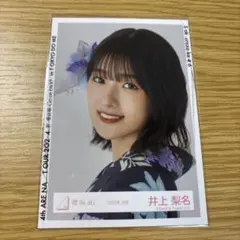 Item thumbnail for item 28cb928c-f47d-44e9-becb-68c712ff6292