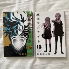 魔法少女サイト 14 15巻
