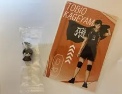 影山飛雄 めじるしアクセサリー＆ハイキュープラザ特典ポストカード