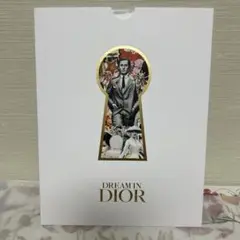 DREAM IN DIOR