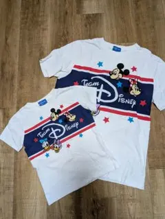 Disney ディズニーランド　ミッキーフレンズ Tシャツ 親子2枚　120、L