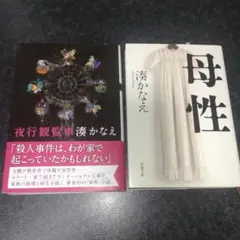 Item thumbnail for item 2c3025d7-ab50-456c-9d94-e9b1a3c13c73