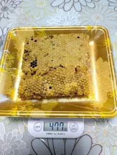 日本蜜蜂の巣蜜　良質部分をカットしています。のサムネイル