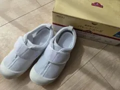 上靴