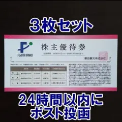 3枚・追加可☆藤田観光 株主優待券 宿泊 飲食 入場 割引券 ワシントンホテルのサムネイル