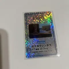 こびとづかんEXPO限定トレーディングカード ガケヨウジンボウ　2