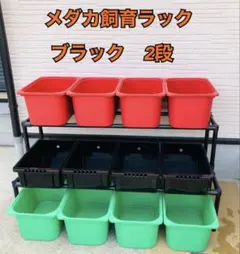 メダカ飼育ラック ブラック【接着剤付】 NVBOX13を12個置のサムネイル