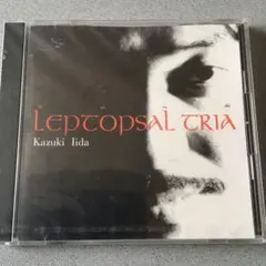 Item thumbnail for item bb2237ae-26cf-4af8-b6cf-de493755539f