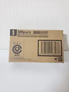 S.H.Figuarts 仮面ライダービルドトライアルフォーム ラピッドドラゴン