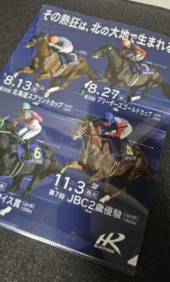 武豊 JRA通算4000勝達成記念 クリアファイル - メルカリ