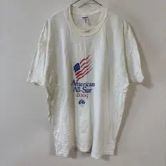 希少2000sジャージーズUSA古着Tシャツ星条旗アメカジXLフェードY2K