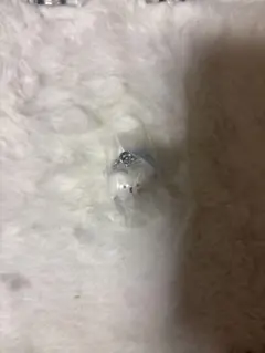 MINITEENカプセルトイ ビョプリ ウジ