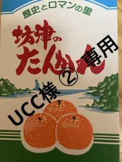 ucc様② 専用　　たんかん　5キロ