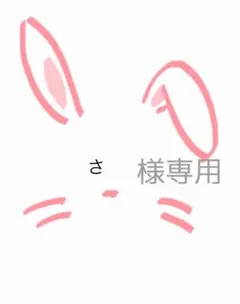 さ様、専用ページです☆