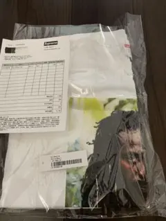 Item thumbnail for item ae1709e1-07c5-44ca-b5b4-1b6e56476d4e