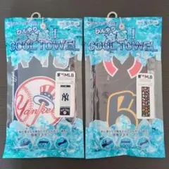 Item thumbnail for item 2f61d2e5-52c7-4de2-9260-dd0ee3b96416