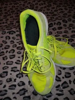 asics 陸上競技用シューズ 25.5cm