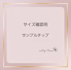 サイズ確認用サンプルチップ