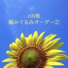 cill様【オーダー専用】⑵