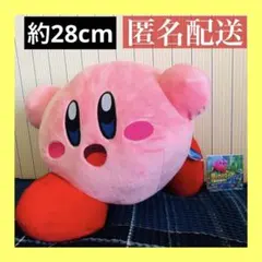 星のカービィ　ディスカバリースターリーワールド　BIGぬいぐるみ　約28cm