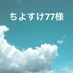 ちよすけ77様 リクエスト 3点 まとめ商品