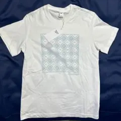 Item thumbnail for item 7773a322-8006-4263-bc90-c8b46be1ff89