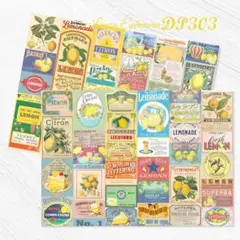 ララキのパパ様 リクエスト 3点 まとめ商品