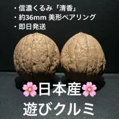 2026年最新】文玩クルミの人気アイテム - メルカリ