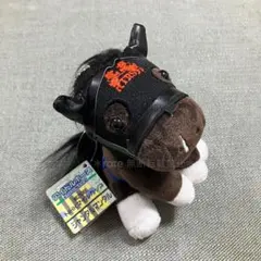 ワンダーホースコレクション　ジャンタルマンタル ワンダーホースコレクション ジャンタルマンタル ターフィーショップ_